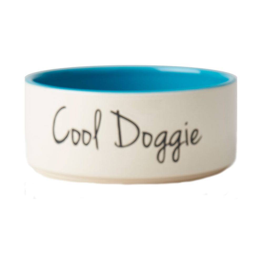 PetRageous Designs Cool Doggie Bowl, Turquoise