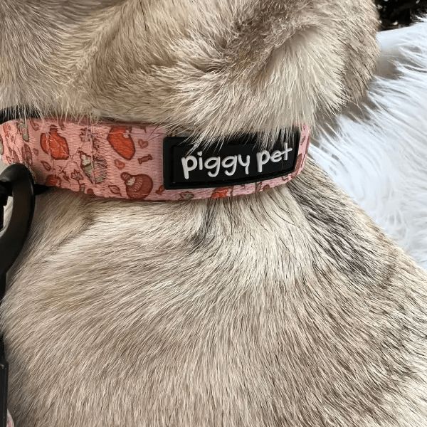 Piggy Pet Fall in Love collar