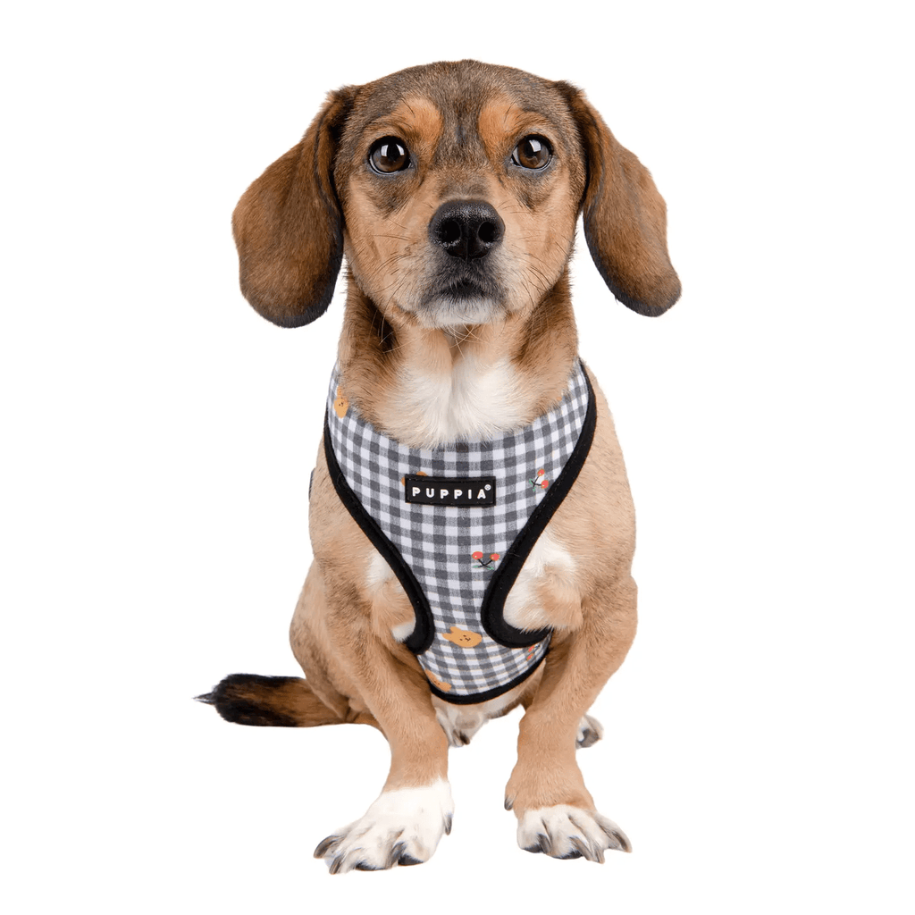 Puppia Baba Dog Harness Over-the-head Adjustable Checkered Bear