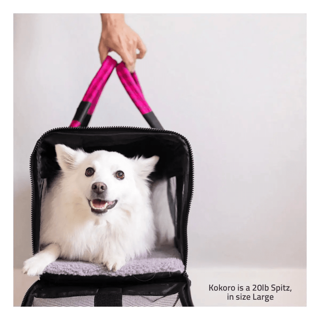 Roverlund Out-of-office Pet Carrier