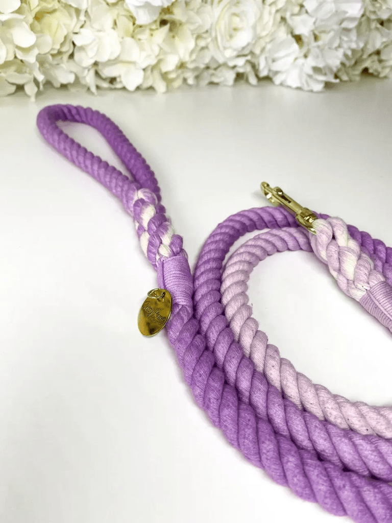 Sassy Paws Collection Rope lead - Purple Ombre