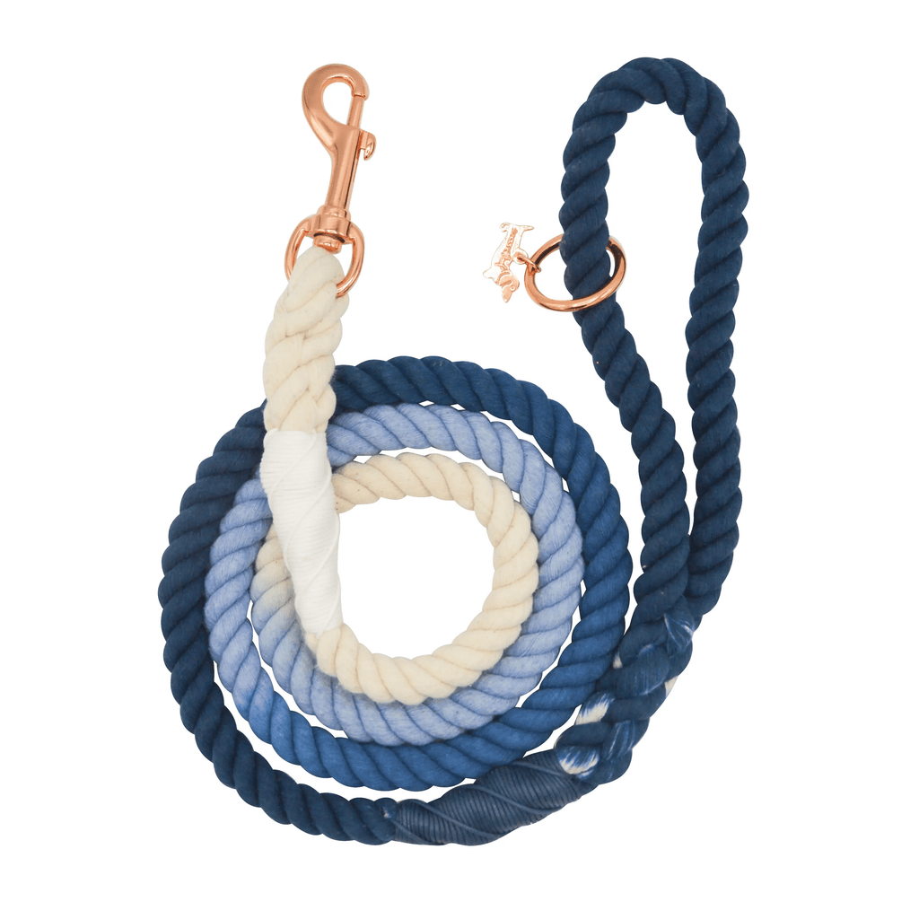 Sassy Woof Ombre Blue Dog Rope Leash