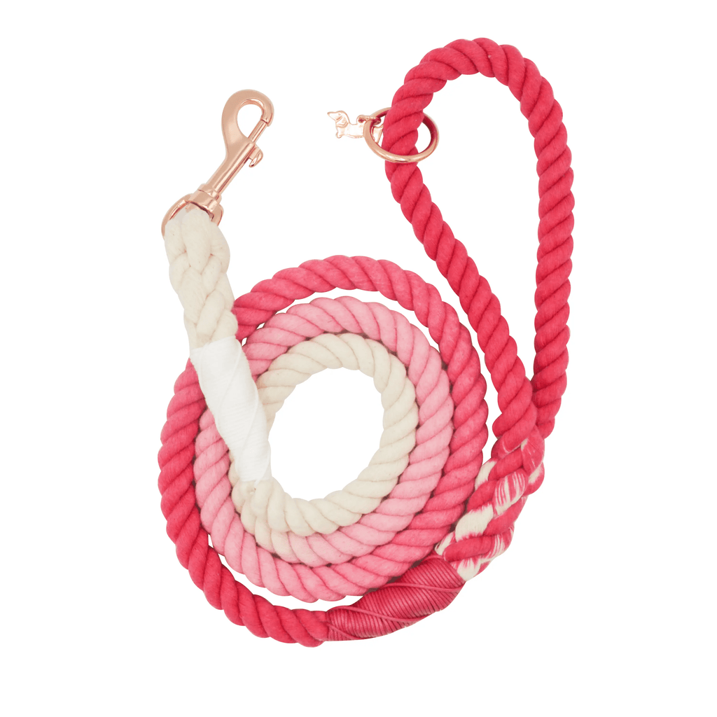 Sassy Woof Ombre Pink Dog Rope Leash