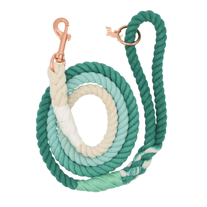 Sassy Woof Ombre Teal Dog Rope Leash
