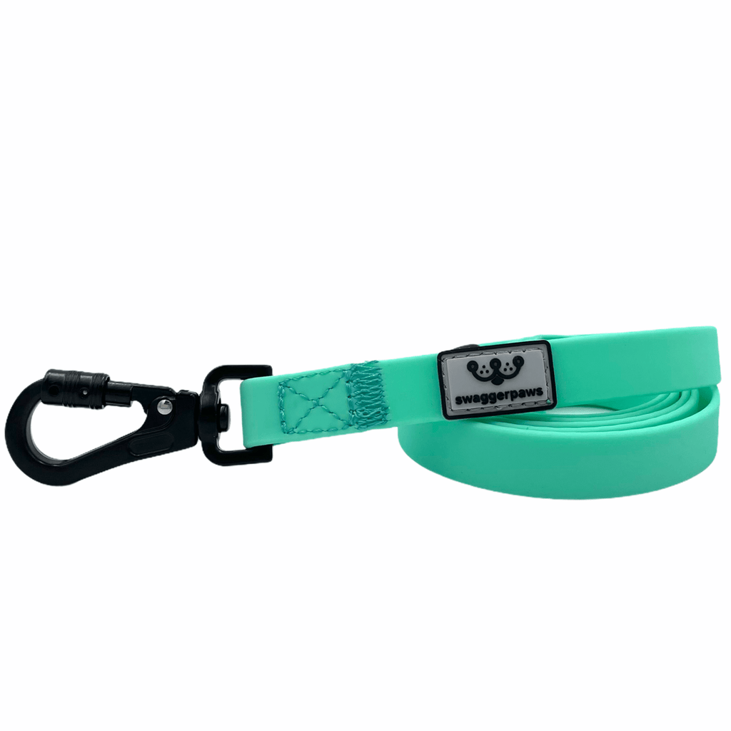 SwaggerPaws Small-1.5cm / Spearmint Waterproof Dog Lead 1.2m - Small to Large