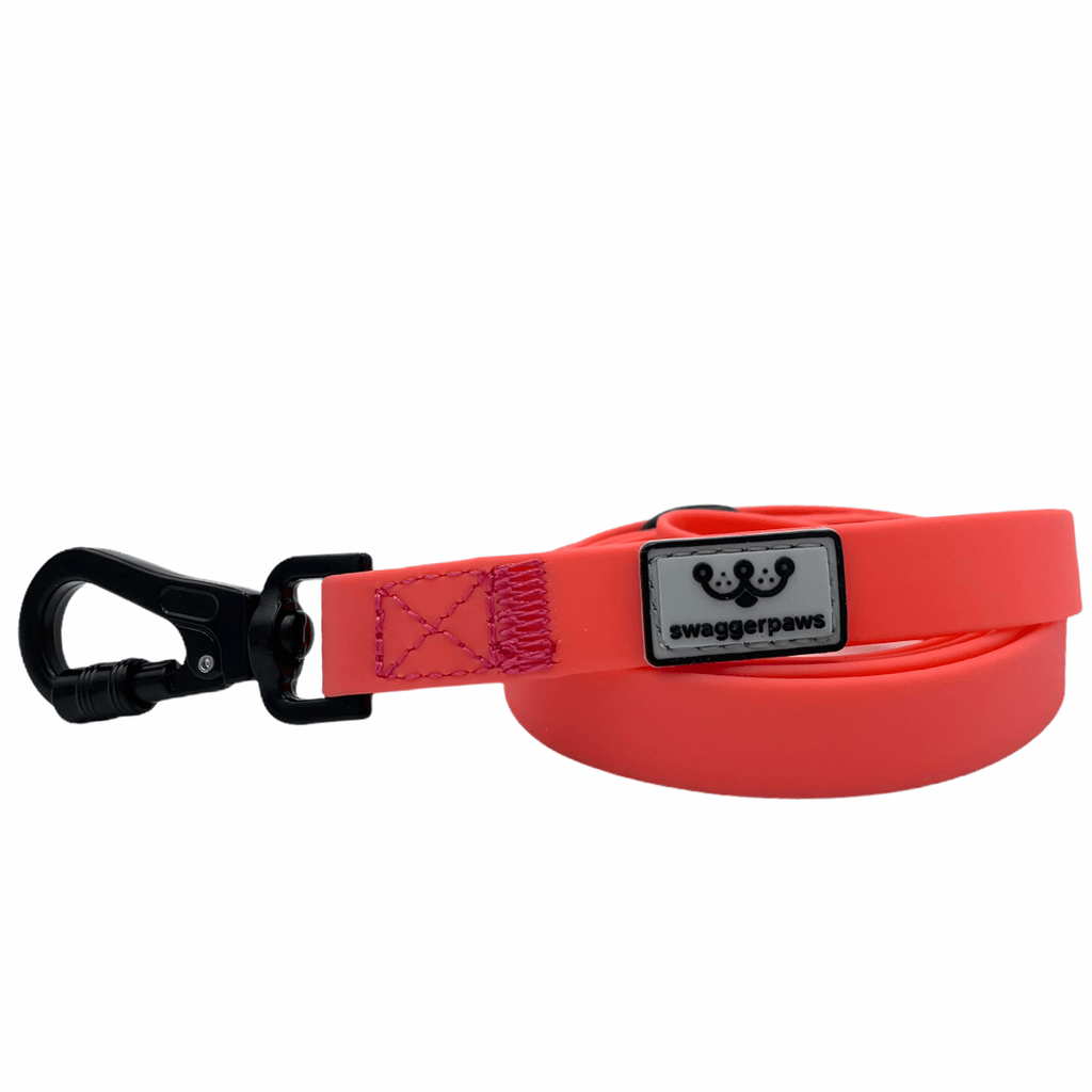 SwaggerPaws Small-1.5cm / Watermelon Waterproof Dog Lead 1.2m - Small to Large
