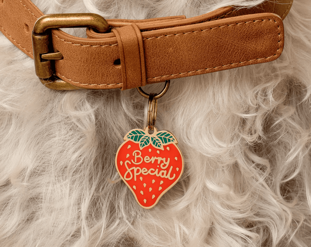 Two Tails Pet Company Berry Special Pet ID Tag