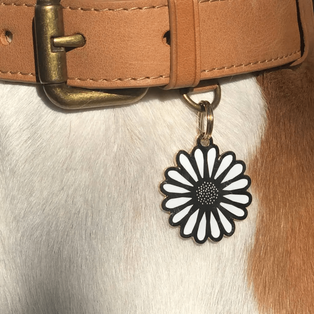 Two Tails Pet Company Daisy Pet ID Tag