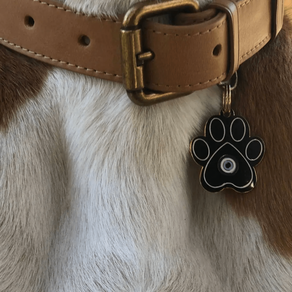 Two Tails Pet Company Evil Eye Paw Pet ID Tag