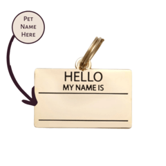 Two Tails Pet Company Gold Hello My Name is Pet ID Tag