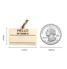 Two Tails Pet Company Hello My Name is Pet ID Tag