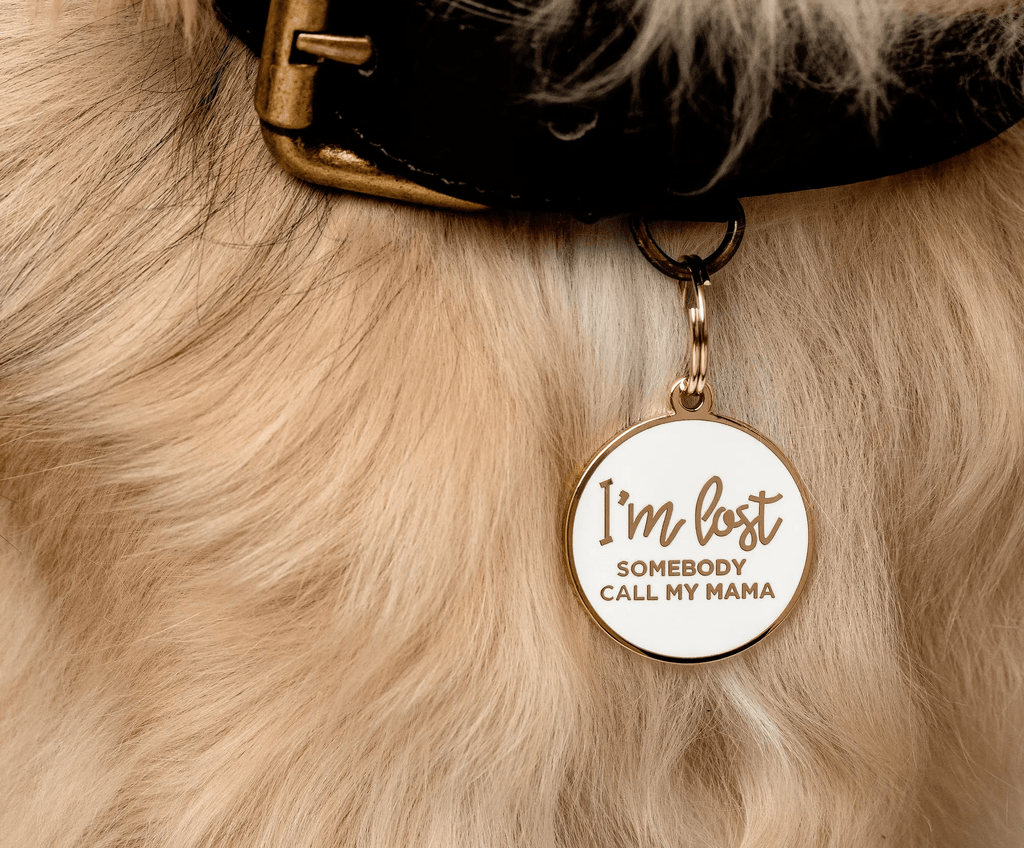 Two Tails Pet Company I'm Lost, Somebody Call My Mama Pet ID Tag
