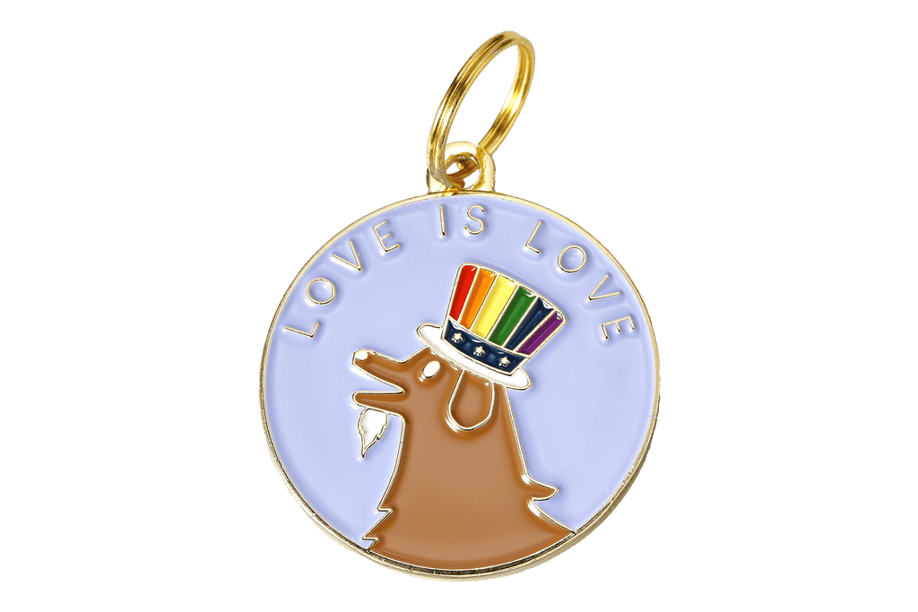 Two Tails Pet Company Love is Love Pet ID Tag