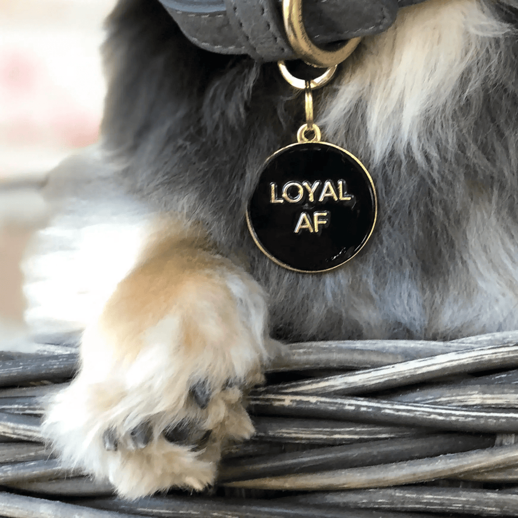 Two Tails Pet Company Loyal AF Pet ID Tag