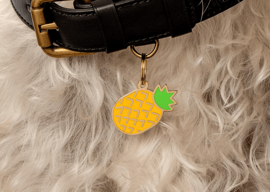 Two Tails Pet Company Pineapple Pet ID Tag