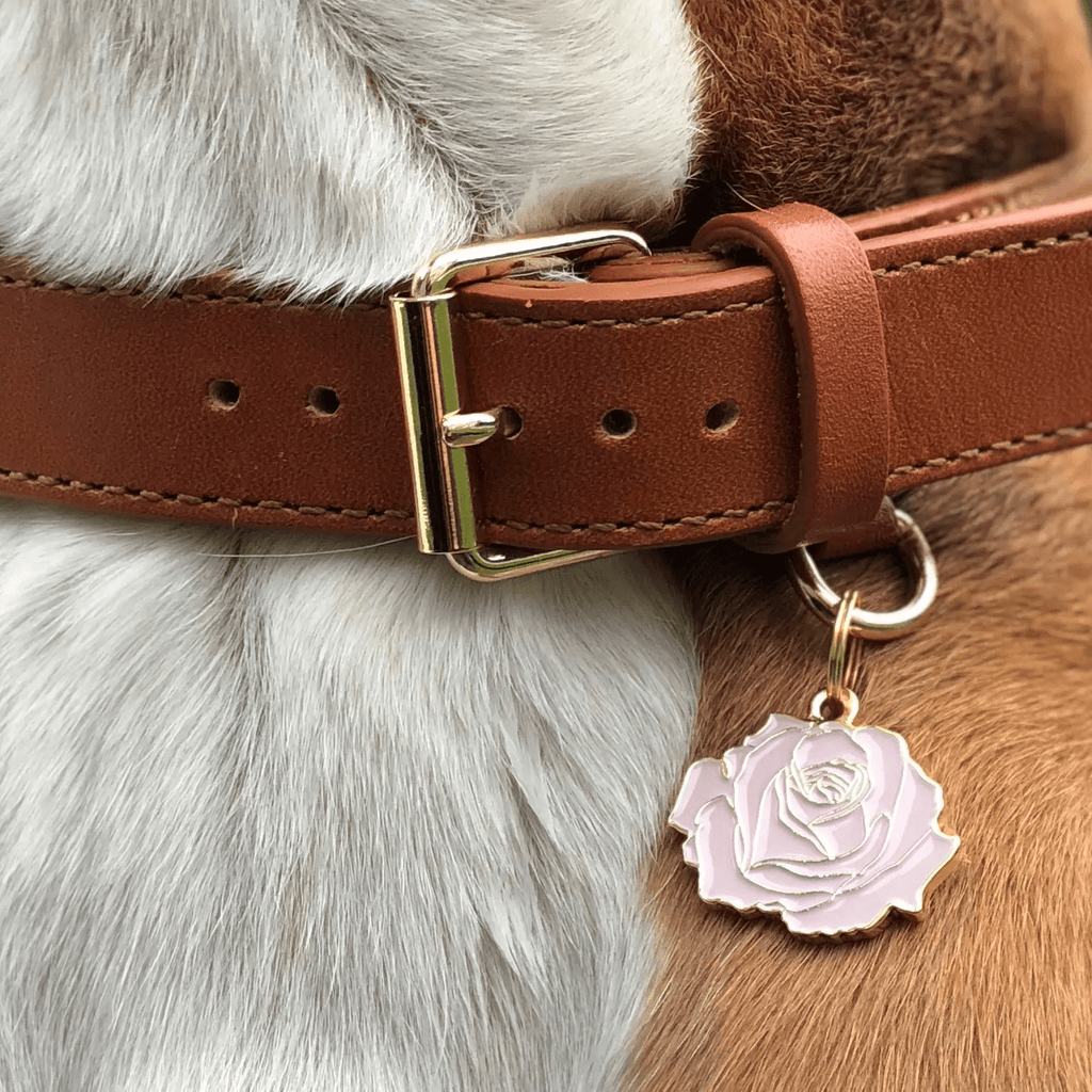 Two Tails Pet Company Rose Pet ID Tag