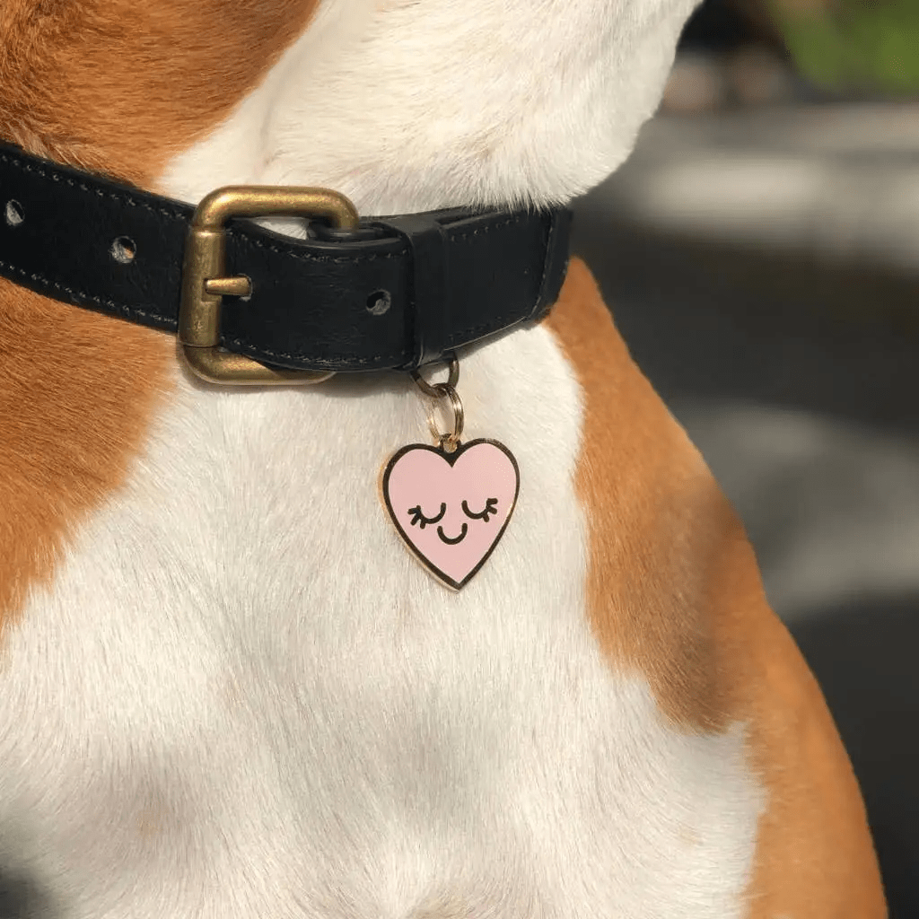 Two Tails Pet Company Smiling Heart Pet ID Tag