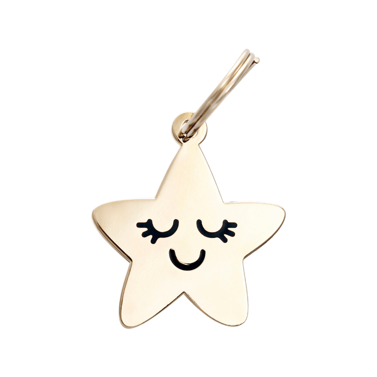 Two Tails Pet Company Smiling Star Pet ID Tag