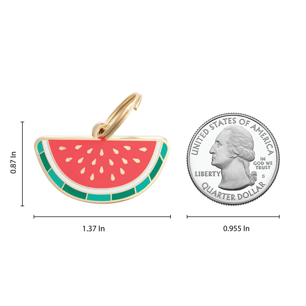 Two Tails Pet Company Watermelon Pet Id Tag