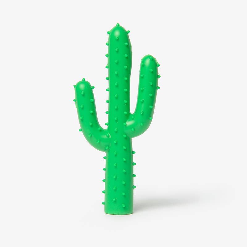 Waggo Silly Succulent Cactus Dog Toy